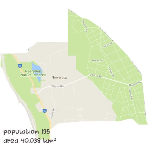 Economics Tutoring Near Me